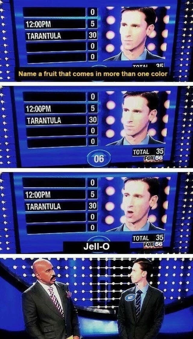 family feud questions, family feud questions funny, family feud questions fails, fail family feud, steve harvey family feud, best family feud questions