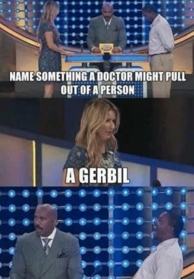 family feud questions, family feud questions funny, family feud questions fails, fail family feud, steve harvey family feud, best family feud questions