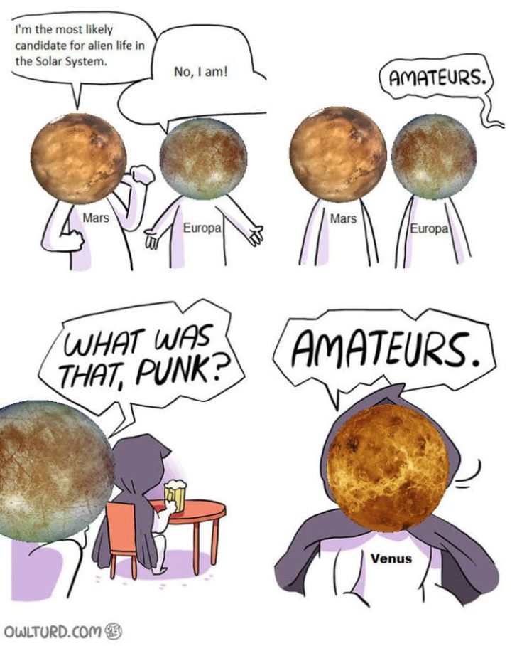 Bet You Didn't Have NASA Finding Life On Venus On Your 2020 Bingo Card (30 Memes)