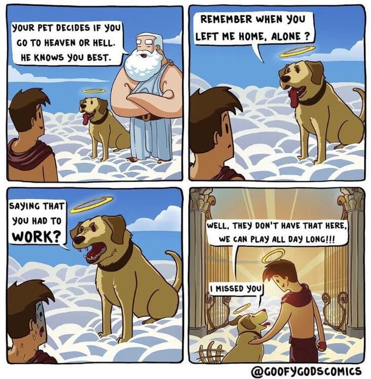 dogs choose if you go to heaven wholesome meme