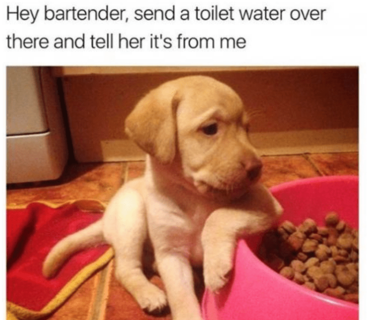 45 Wholesome Memes To Bring The Warmth Of A Hug To Your Day