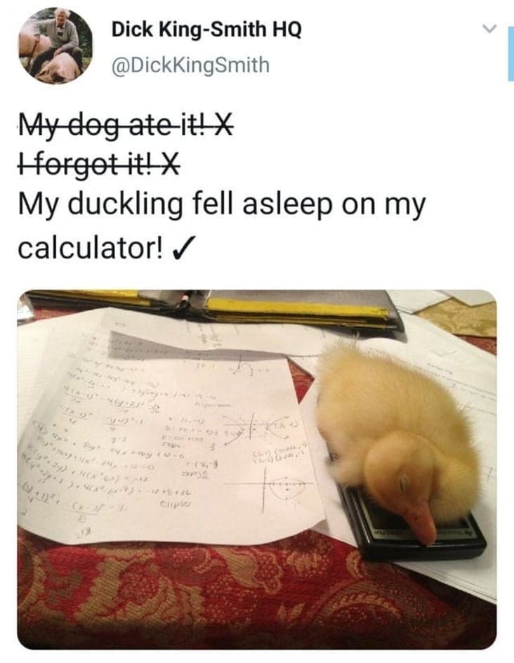 duckling on calculator wholesome meme