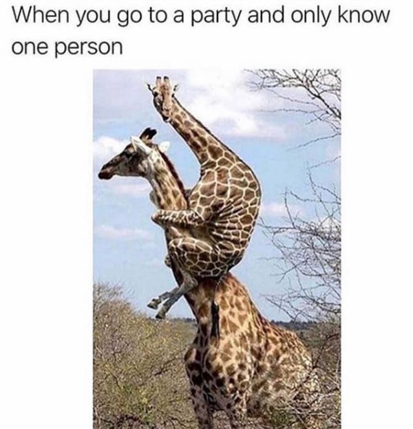 introvert meme, introvert memes, funny introvert meme, funny introvert memes, memes for introverts, funny memes for introverts, meme for introvert, funny meme for introverts, funny introvert joke, introvert jokes, funny introvert jokes, funny jokes for introvert, funny joke about introverts, funny jokes about introverts, introvert funny meme, introverts funny meme, introverts meme, introverts memes, introvert meme funny, introvert memes funny, hilarious introvert meme, hilarious introvert memes