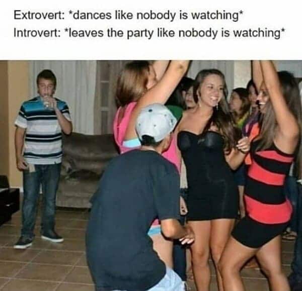 introvert meme, introvert memes, funny introvert meme, funny introvert memes, memes for introverts, funny memes for introverts, meme for introvert, funny meme for introverts, funny introvert joke, introvert jokes, funny introvert jokes, funny jokes for introvert, funny joke about introverts, funny jokes about introverts, introvert funny meme, introverts funny meme, introverts meme, introverts memes, introvert meme funny, introvert memes funny, hilarious introvert meme, hilarious introvert memes