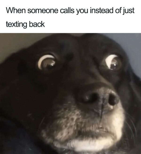 introvert meme, introvert memes, funny introvert meme, funny introvert memes, memes for introverts, funny memes for introverts, meme for introvert, funny meme for introverts, funny introvert joke, introvert jokes, funny introvert jokes, funny jokes for introvert, funny joke about introverts, funny jokes about introverts, introvert funny meme, introverts funny meme, introverts meme, introverts memes, introvert meme funny, introvert memes funny, hilarious introvert meme, hilarious introvert memes