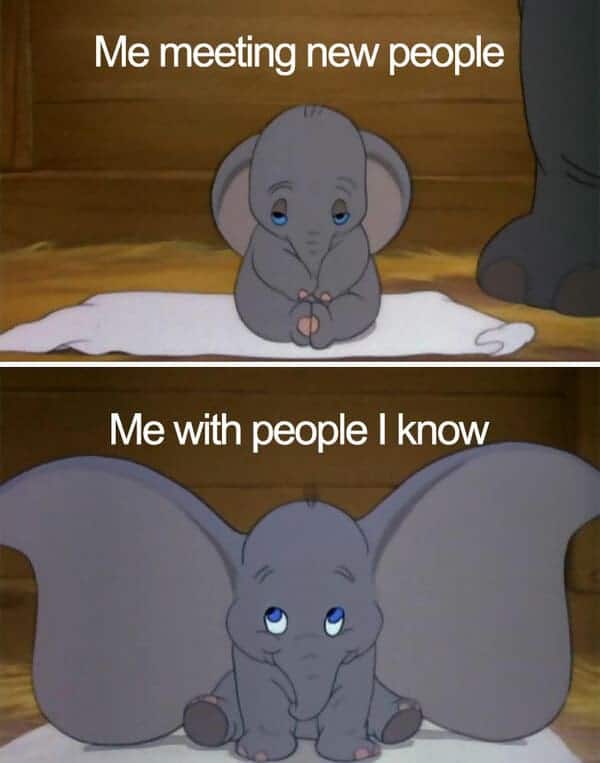 introvert meme, introvert memes, funny introvert meme, funny introvert memes, memes for introverts, funny memes for introverts, meme for introvert, funny meme for introverts, funny introvert joke, introvert jokes, funny introvert jokes, funny jokes for introvert, funny joke about introverts, funny jokes about introverts, introvert funny meme, introverts funny meme, introverts meme, introverts memes, introvert meme funny, introvert memes funny, hilarious introvert meme, hilarious introvert memes