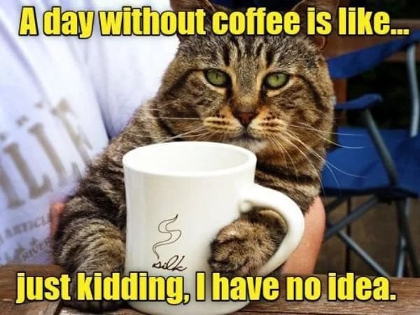 coffee meme, coffee memes, funny coffee memes, funny coffee meme, hilarious coffee meme, need coffee meme, morning coffee meme, coffee time meme, drinking coffee meme, more coffee meme, memes about coffee, hilarious coffee memes, funny memes about coffee, coffee meme images, coffee meme pictures, funny meme about coffee, best coffee memes, meme about coffee, coffee lover meme, coffee lovers meme, joke about coffee, coffee joke, coffee jokes, funny joke about coffee, funny coffee jokes, funny coffee joke