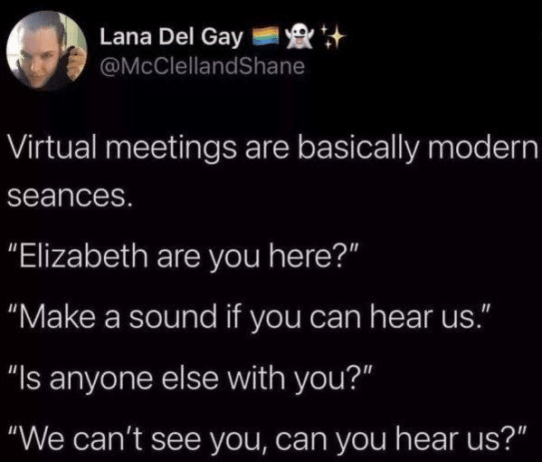 Funny Zoom Memes about Zoom meetings feeling like a seance "Are you there elizabeth?"