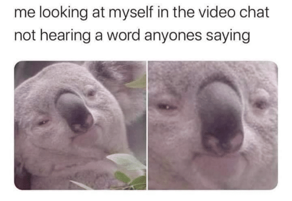zoom meme - me looking at myself in the video chat not hearing a word anyones saying