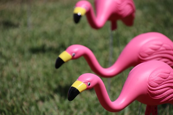 adults share what scared them as kids, scary photos, lawn flamingos, dead in the eyes