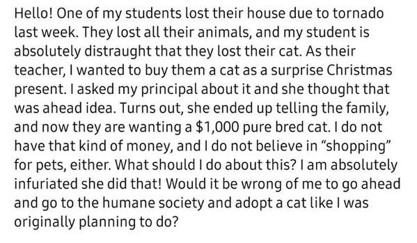 funny, choosing beggars