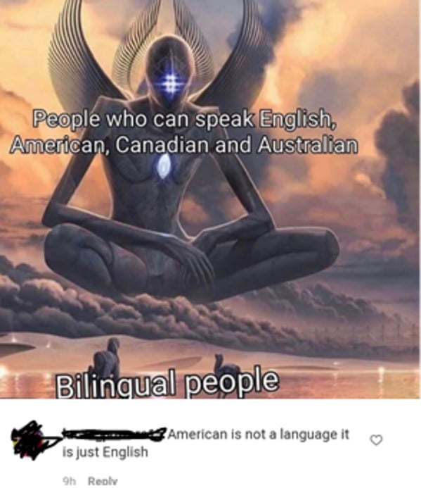 bilingual joke about speaking English American and Canadian, woooosh, funny jokes that went over people's heads, missed the joke