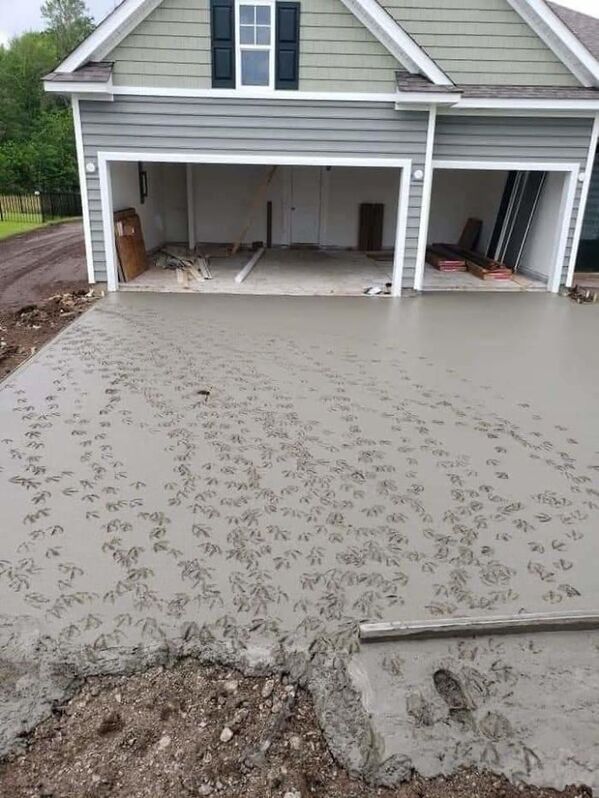 duck footprints in the concrete of driveway, funny people having a worse day, well that sucks