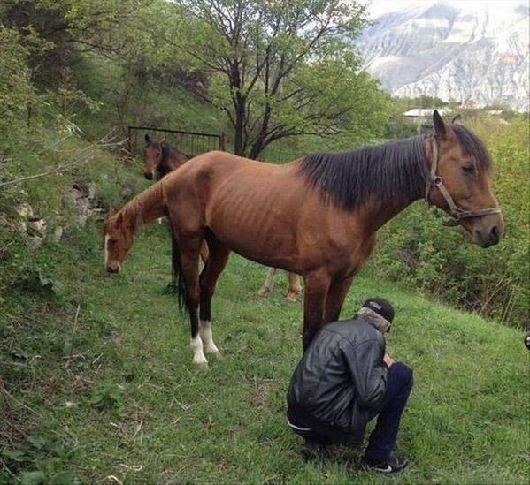 Confusing pictures, confusing perspective reddit, funny accidental photos, weird funny perspective, play to the top of your intelligence, patterns and the brain