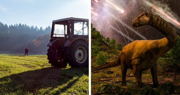 grass and dionsaurs, Things that are older than you thought, facts about early inventions, interesting facts about every day objects