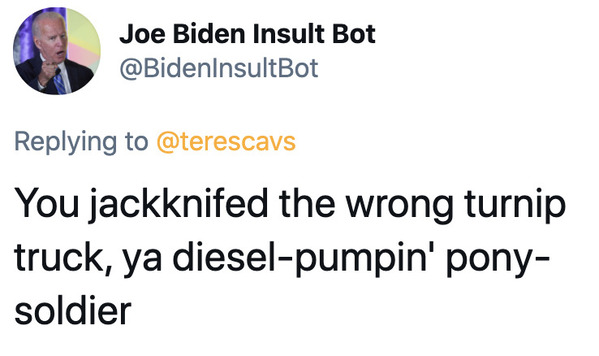 Joe Biden insult generator, funny insult twitter bot, president Joe Biden, insulting tweets, funny roast jokes, twitter bots