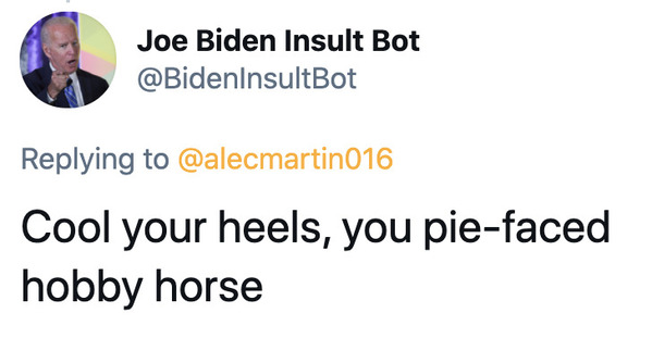 Joe Biden insult generator, funny insult twitter bot, president Joe Biden, insulting tweets, funny roast jokes, twitter bots