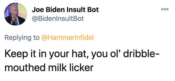 Joe Biden insult generator, funny insult twitter bot, president Joe Biden, insulting tweets, funny roast jokes, twitter bots