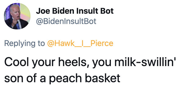 Joe Biden insult generator, funny insult twitter bot, president Joe Biden, insulting tweets, funny roast jokes, twitter bots