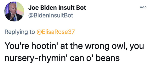 Joe Biden insult generator, funny insult twitter bot, president Joe Biden, insulting tweets, funny roast jokes, twitter bots