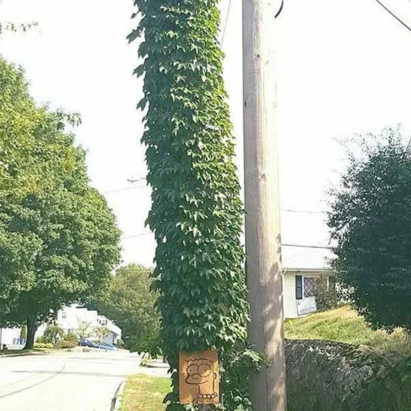 Funny vandalism, mildly vandalized, funny graffiti, wholesome, spray paint, street art, humor, clever writing on the wall, vandals, protests, reddit