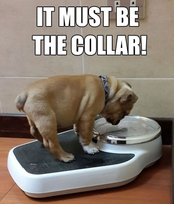 35 Funny Weight Loss Memes That Prove Everyone Struggles To Get In Shape 35-funny-weight-loss-memes-that-prove-everyone-struggles-to-get-in-shape