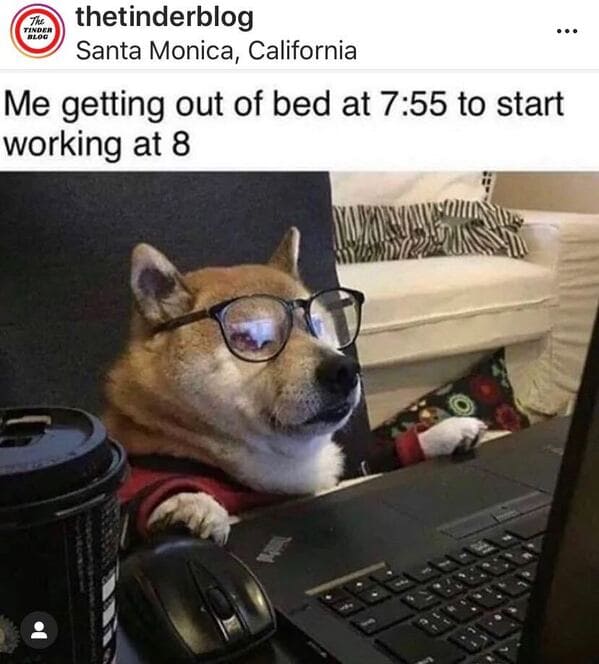 Working from home meme, work from home, funny work from home meme, funny jokes about work, the office memes, humor, lol, boss, zoom meetings