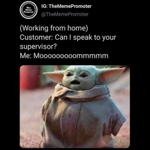 Working from home meme, work from home, funny work from home meme, funny jokes about work, the office memes, humor, lol, boss, zoom meetings