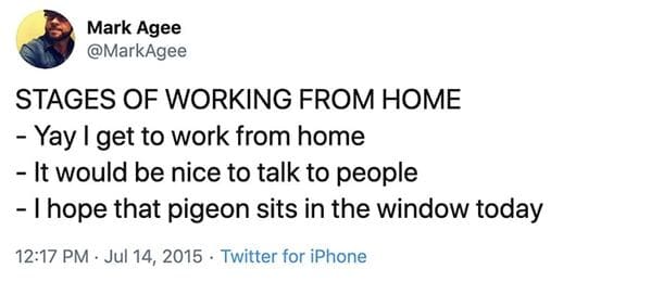 Working from home meme, work from home, funny work from home meme, funny jokes about work, the office memes, humor, lol, boss, zoom meetings