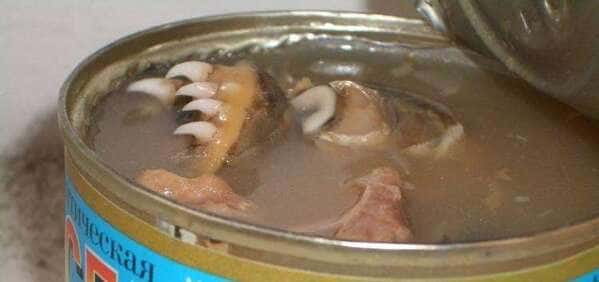 Cursed images of food, Haunted food, scary foods, frightening photos of food, evil looking foods, wtf, funny, bad, awful