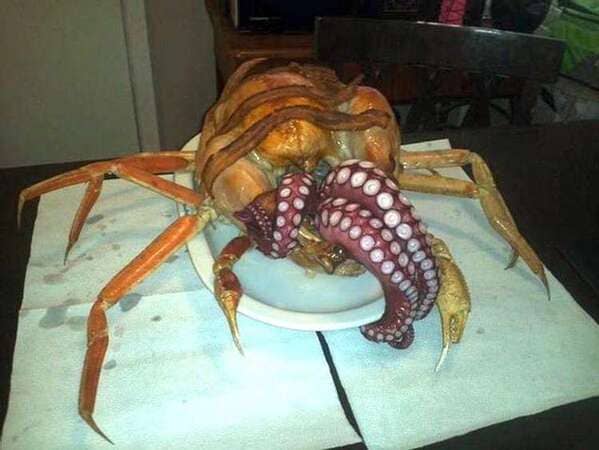 Cursed images of food, Haunted food, scary foods, frightening photos of food, evil looking foods, wtf, funny, bad, awful