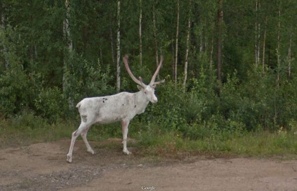 Funny google street view, pictures from google accidentally captured, funny pics from google, weird wtf moments on google, Jon Rafman, art, photos, cool pics
