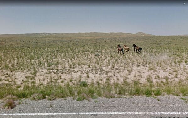 Funny google street view, pictures from google accidentally captured, funny pics from google, weird wtf moments on google, Jon Rafman, art, photos, cool pics