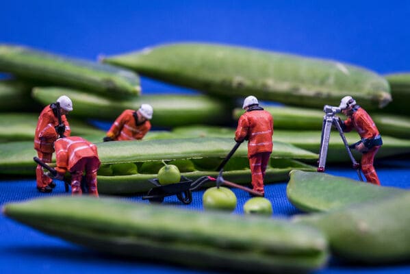 Tiny Wasteland, Instagram cool photos of small objects, dioramas of dystopia, tinywasteland, cool art made of tiny people in everyday items, funny odd photos of small people in small things, WTF, Peter Csakvari