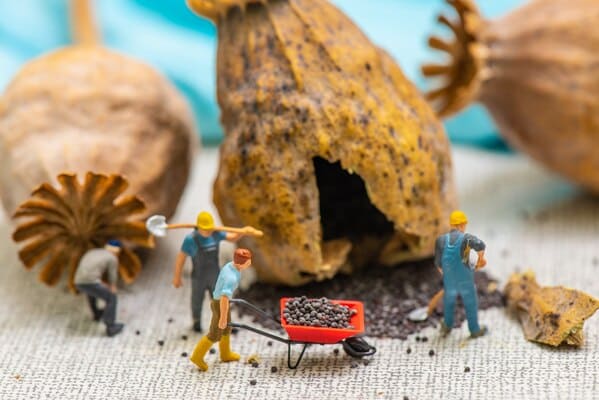 Tiny Wasteland, Instagram cool photos of small objects, dioramas of dystopia, tinywasteland, cool art made of tiny people in everyday items, funny odd photos of small people in small things, WTF, Peter Csakvari