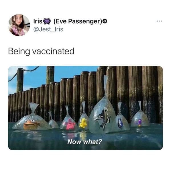 Greatest pandemic memes, funny tweets about COVID, coronavirus takes that held up, 2020 was a bad year, memes from quarantine, memes about getting the vaccine, vaccinate memes, hilarious jokes about the pandemic, twitter, lol