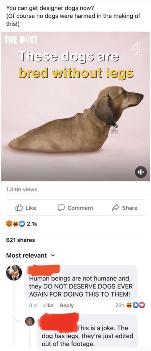 People duped by onion headlines, Babylon bee, funny posts where people believed the onion, atetheonion, reddit, ate the onion, lol, dumb people, gullible