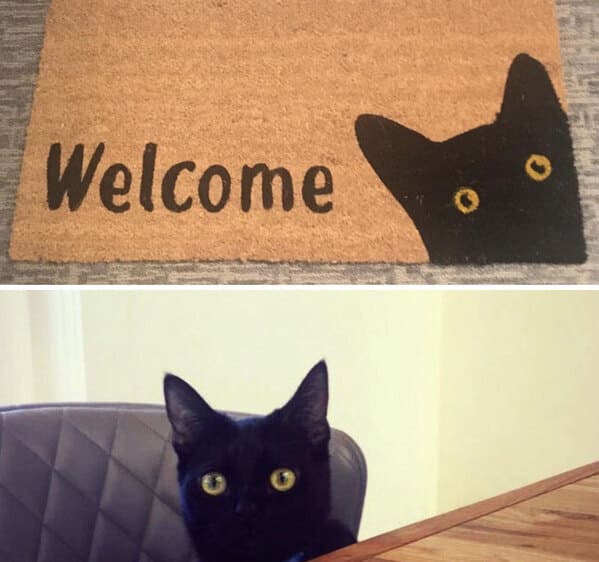 Funny doormats, funny pics from houseguests, r funny, reddit, jokes, dog jokes, weird signs, houseguests not feeling welcome, hilarious signs outside house, lol