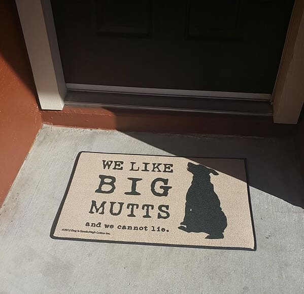 Funny doormats, funny pics from houseguests, r funny, reddit, jokes, dog jokes, weird signs, houseguests not feeling welcome, hilarious signs outside house, lol