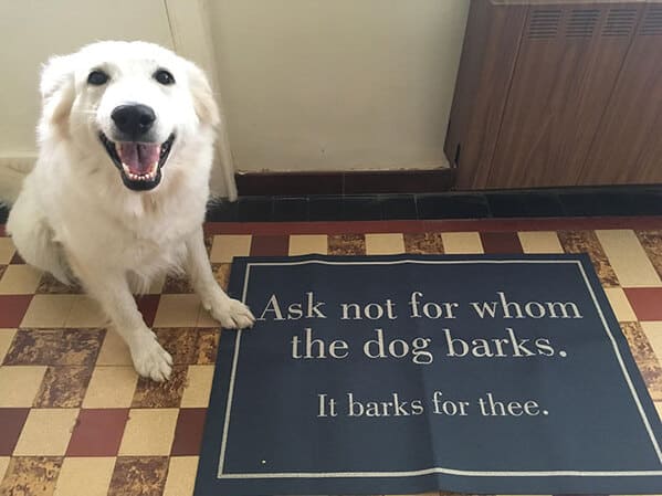 Funny doormats, funny pics from houseguests, r funny, reddit, jokes, dog jokes, weird signs, houseguests not feeling welcome, hilarious signs outside house, lol