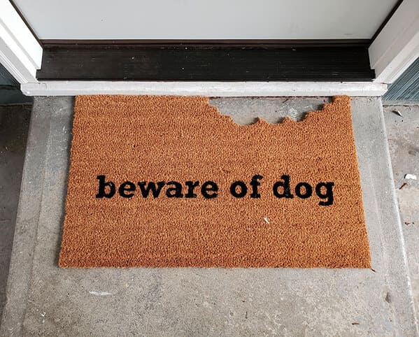 Funny doormats, funny pics from houseguests, r funny, reddit, jokes, dog jokes, weird signs, houseguests not feeling welcome, hilarious signs outside house, lol