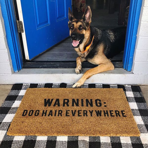 Funny doormats, funny pics from houseguests, r funny, reddit, jokes, dog jokes, weird signs, houseguests not feeling welcome, hilarious signs outside house, lol