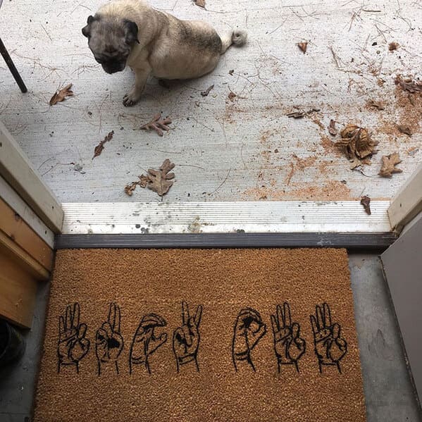 Funny doormats, funny pics from houseguests, r funny, reddit, jokes, dog jokes, weird signs, houseguests not feeling welcome, hilarious signs outside house, lol