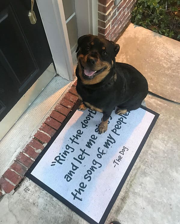Funny doormats, funny pics from houseguests, r funny, reddit, jokes, dog jokes, weird signs, houseguests not feeling welcome, hilarious signs outside house, lol