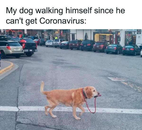 Greatest pandemic memes, funny tweets about COVID, coronavirus takes that held up, 2020 was a bad year, memes from quarantine, memes about getting the vaccine, vaccinate memes, hilarious jokes about the pandemic, twitter, lol