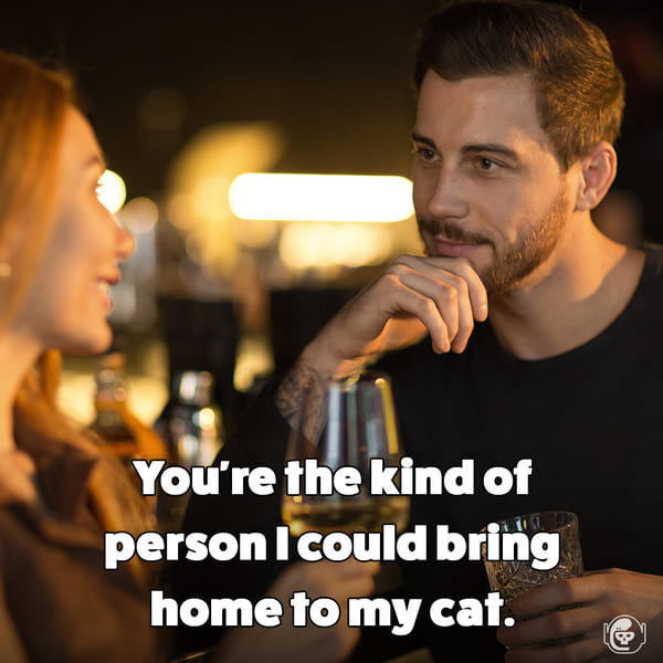 You're the kind of person I could bring home to my cat, Funny self deprecating pick up lines, pick up artist fails, hilarious mean self-owns, dating, love, relationships