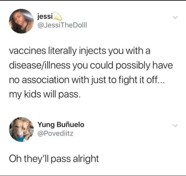 Anti-vaxxers destroyed by internet comments, funny vaccine comments, people who comment on anti vaxx moron posts, insane people on Facebook who won’t take the vaccine, funny takedowns of antivaxx people, reddit, funny pics