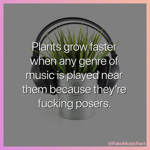 Fake Music Facts Instagram, funny memes about bands, fake history, fake music history, hilarious memes, fakemusicfact, instagram, comedy, lol, jokes, memes, musicians