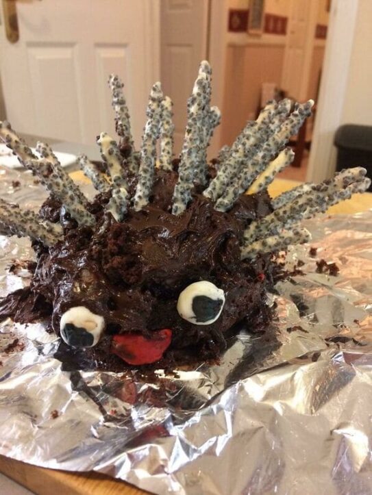 Can Anyone Actually Make A Hedgehog Cake Correctly? It Appears Not (25 ...