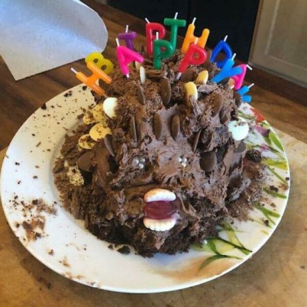 Hedgehog cake fails, nailed it, cakes with threatening auras, funny pictures of terrible bakers, funny meme, cakes, baking, lol